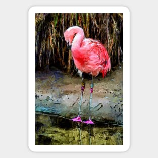 Pink Flamingo Digitized Watercolor Sticker